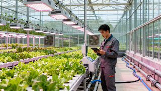 寿光科技园区运营管理怎么做才高效，智慧园区运营成本怎么控制？